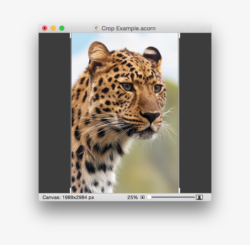 Screen Shot 2015 05 06 At, transparent png download