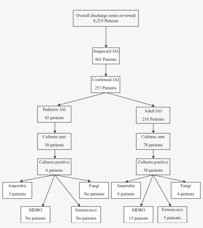 Clip Art Free Library A Flow Chart Of Patients With, transparent png download