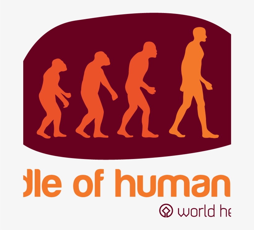 Coh Logo, transparent png download
