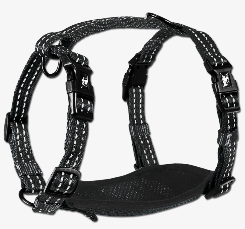 Adventure Harnesses, transparent png download