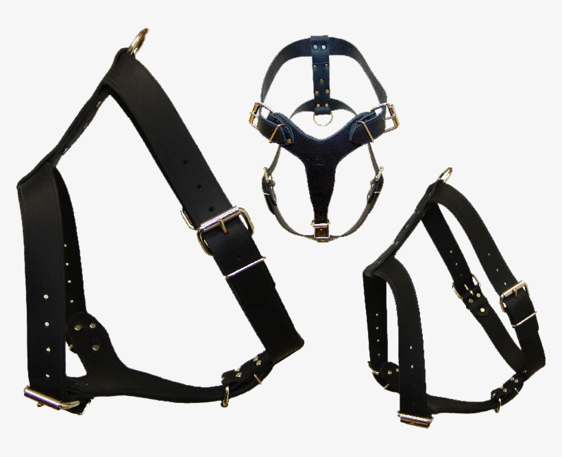 Harness Png, transparent png download