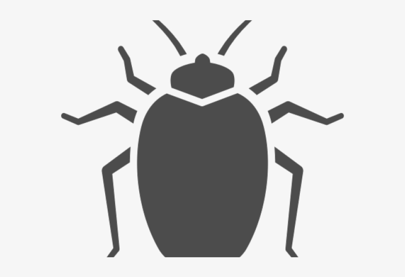 Bed Bug Png, transparent png download