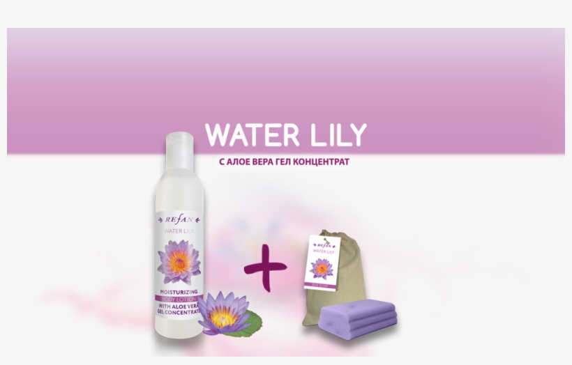06245 Série Water Lily, transparent png download