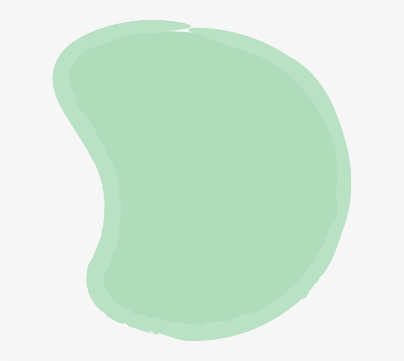 Cacti, As Well As For Its Pads, transparent png download