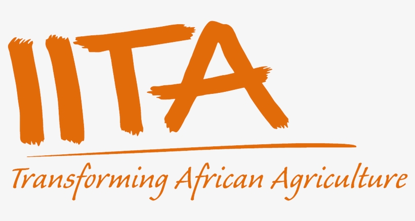 Iita, transparent png download