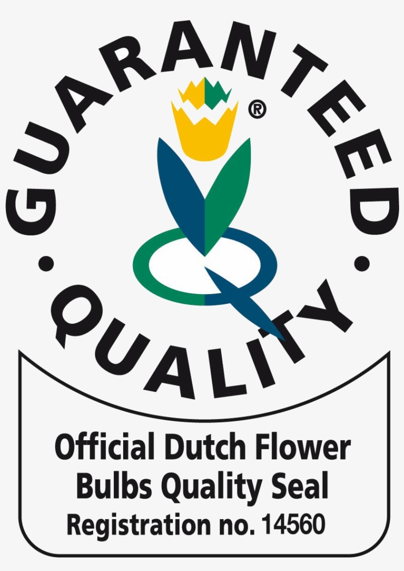 Quality Seal Png, transparent png download