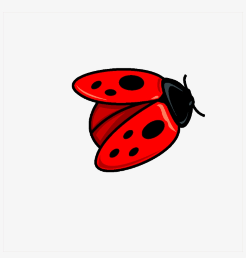 Coccinella Septempunctata Free Ladybird, transparent png download
