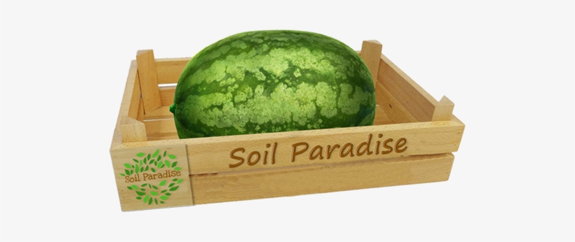 Watermelon, transparent png download