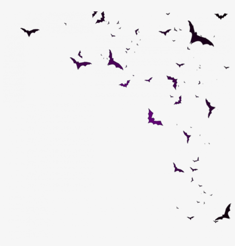 Bat Bats Murcielago Murciélago Murcielagos Murciélagos, transparent png download