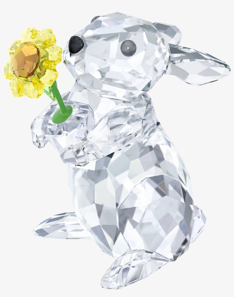 As Estampas Mais Lindas Da Antix, Também Entraram Nessa, transparent png download