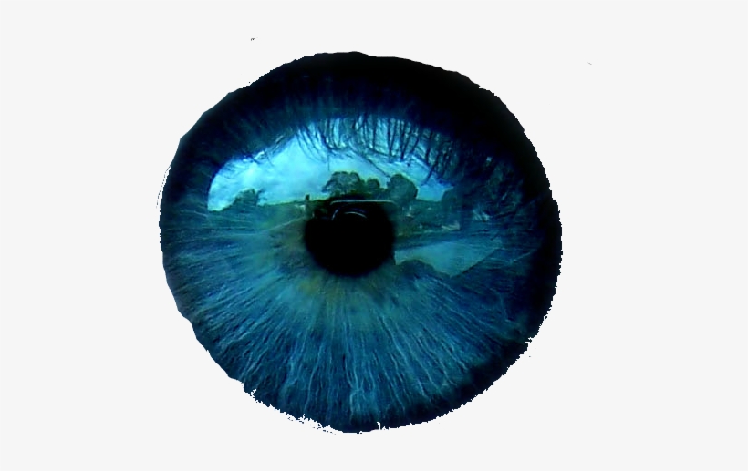Ojos Azules Png, transparent png download