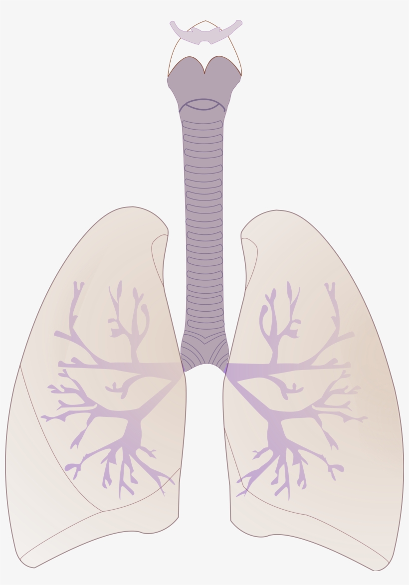 Open, transparent png download