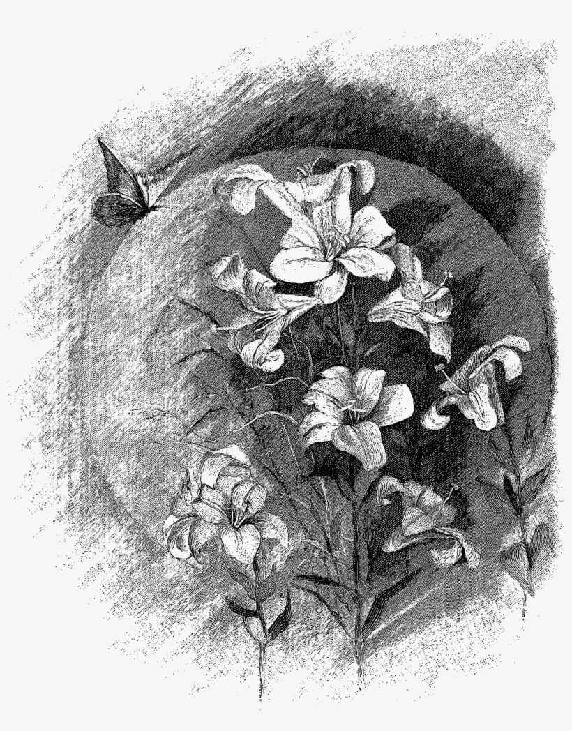 Digital Butterfly Downloads, transparent png download