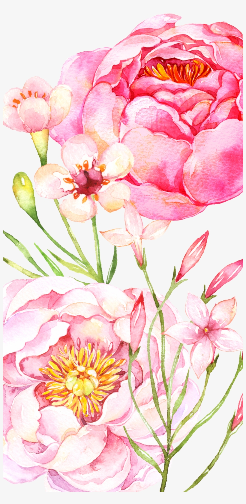 #casetify #iphone #art #design #flowers #, transparent png download