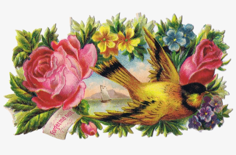 Bird Clip Art Antique Graphics From Http, transparent png download