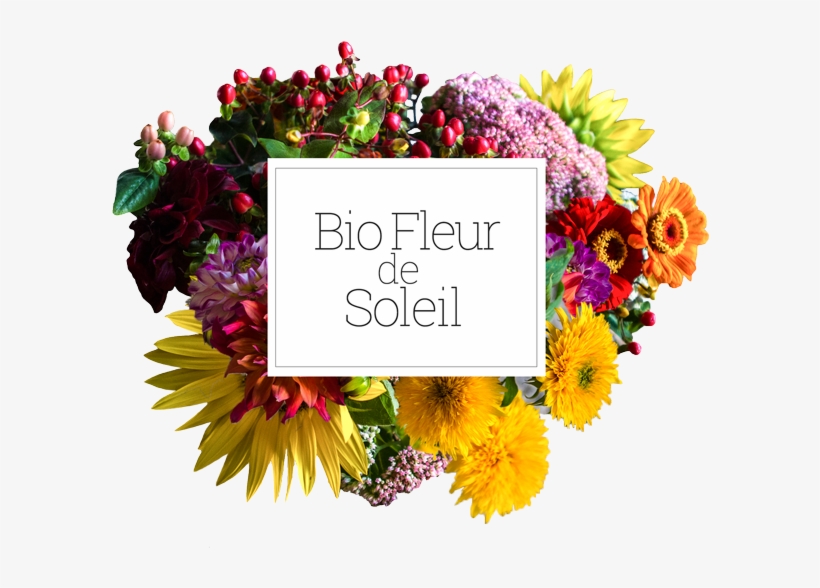 Logo Bio Fleur De Soleil, transparent png download