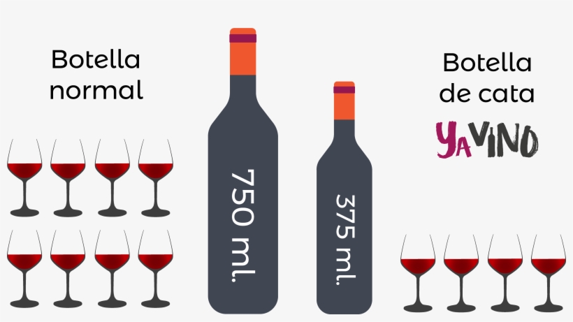 4 Copas De Vino Por Botella De Cata, transparent png download