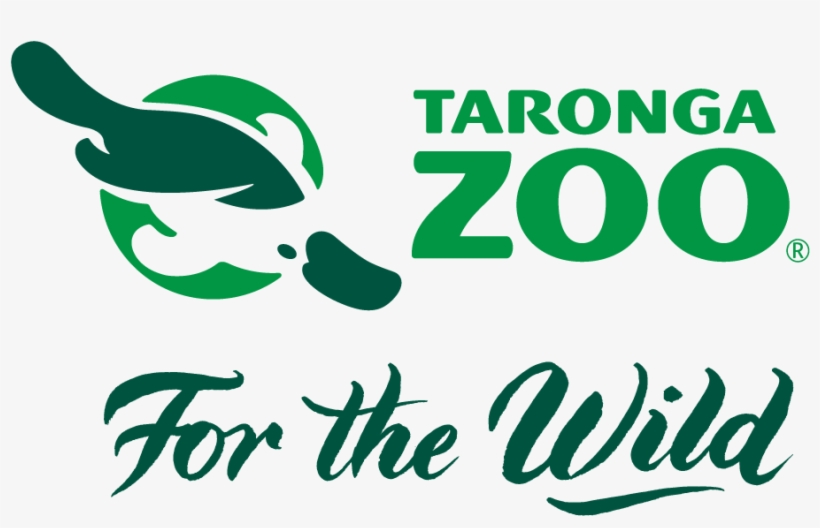 Taronga Facilities Recruitment, transparent png download
