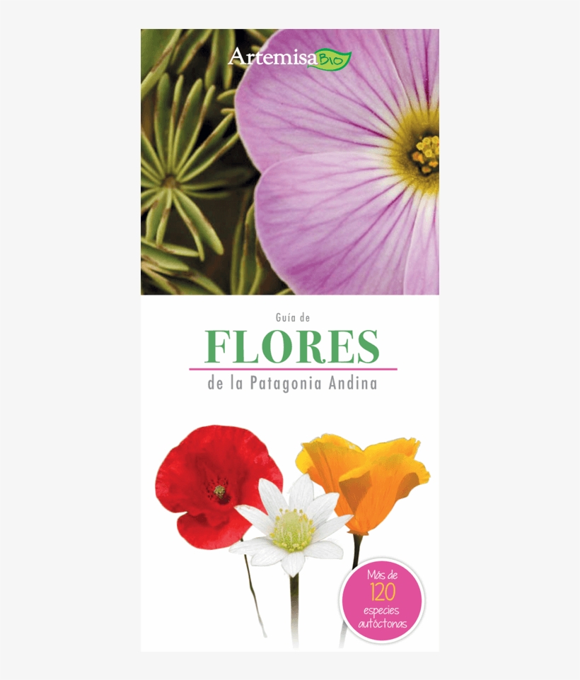 Tapa Flexible Con Solapadas, transparent png download