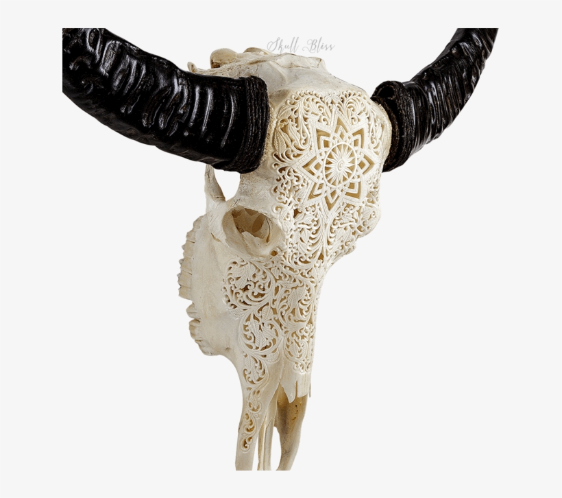 Carved Buffalo Skull, transparent png download