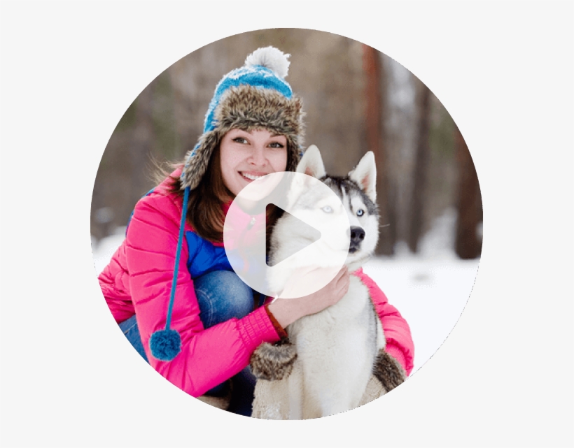 Husky Safari, transparent png download