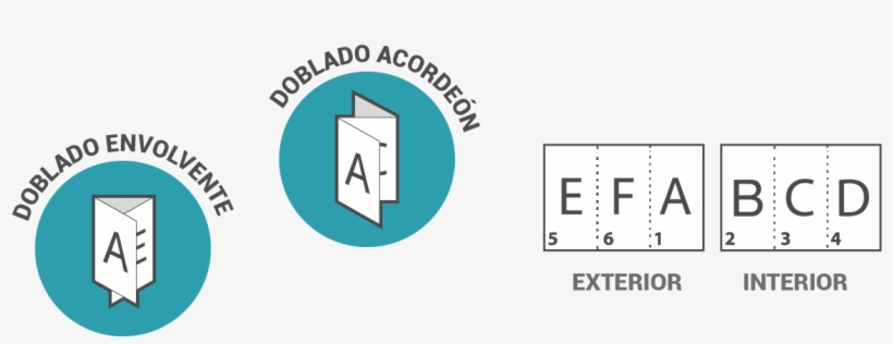Tipodedoblados-01, transparent png download