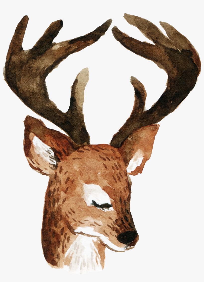 Cartoon Longhorn Deer Png, transparent png download