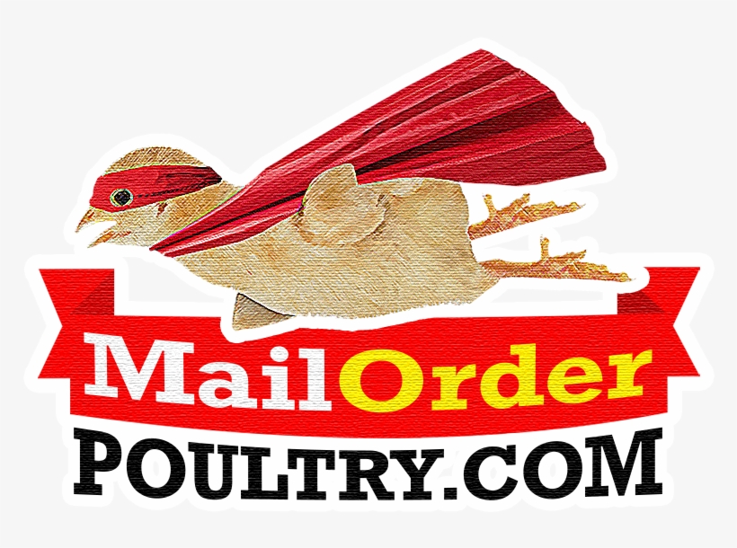Mail Order Poultry, transparent png download
