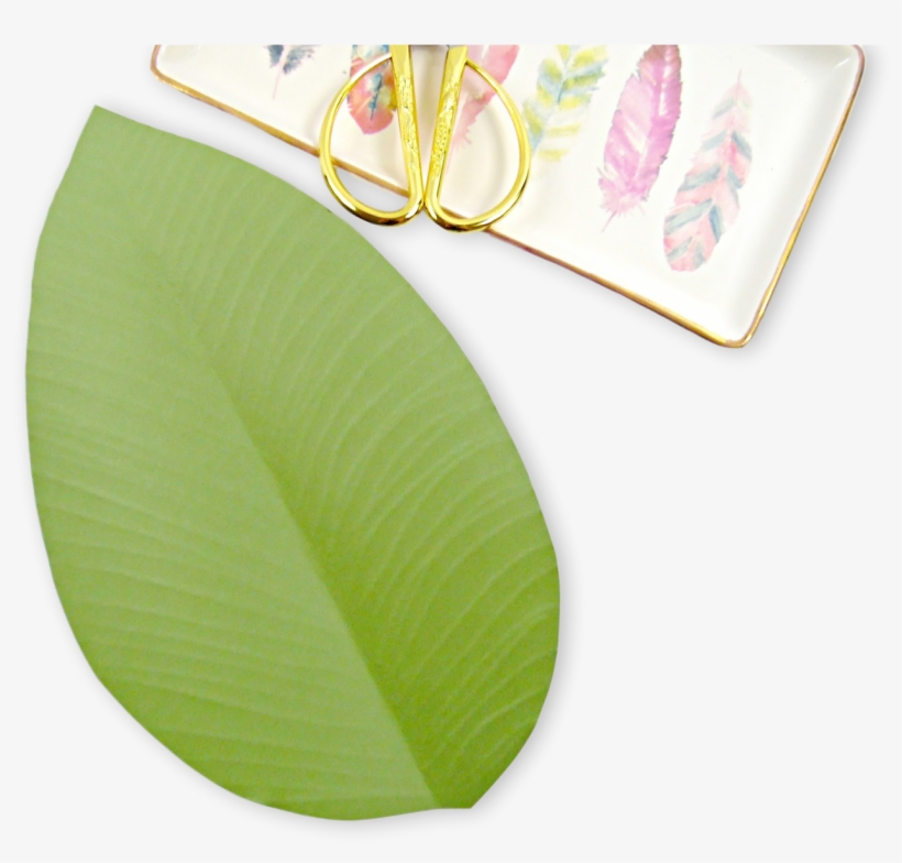 Vines And Leaves Can Really Just Make Your Paper Flowers, transparent png download