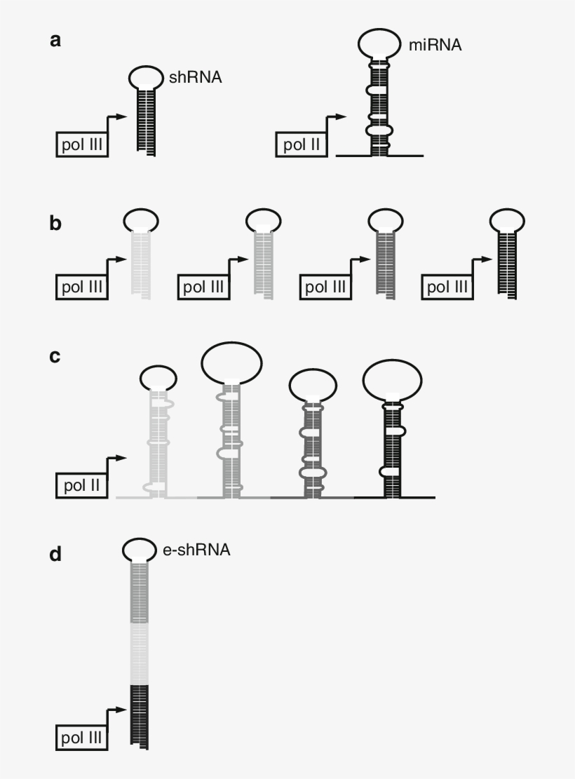 Moño Navidad Png, transparent png download