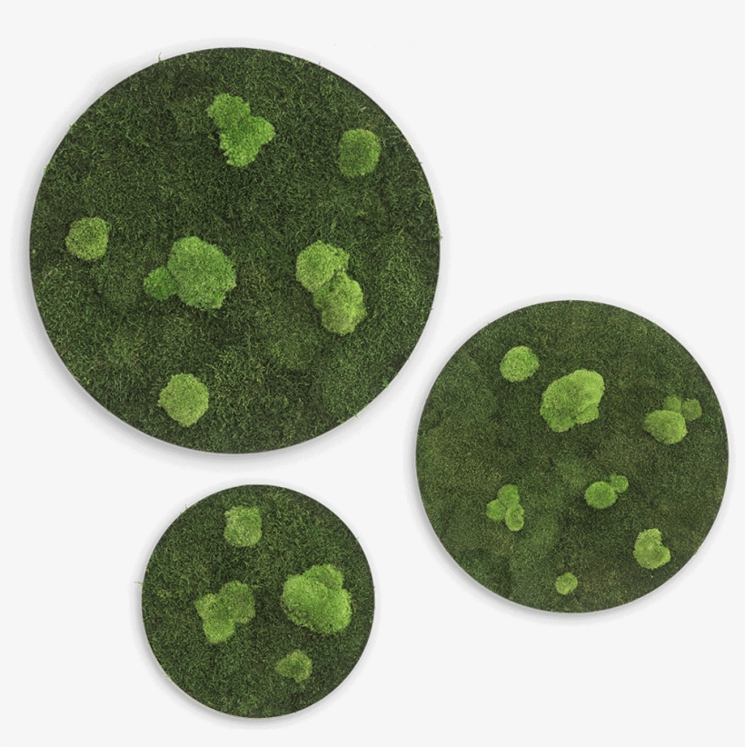 Flat, transparent png download