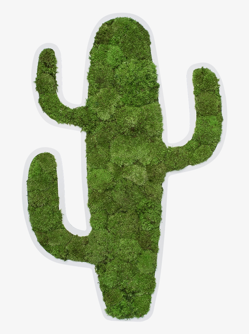 Moños Png, transparent png download