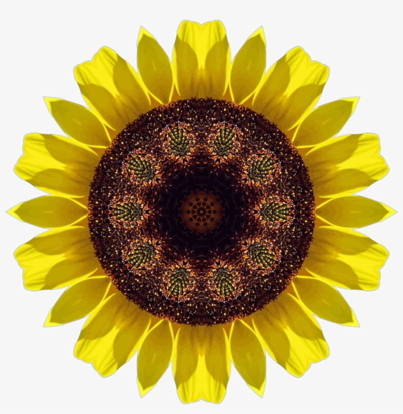 This Free Icons Png Design Of Sunflower Kaleidoscope, transparent png download