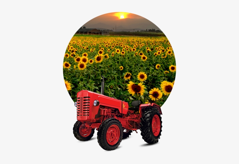 Cultivation, transparent png download