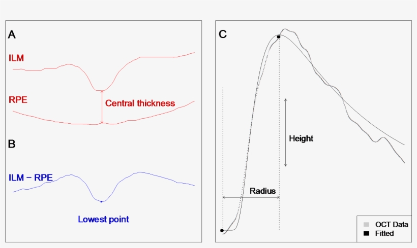 Foto-paper, transparent png download