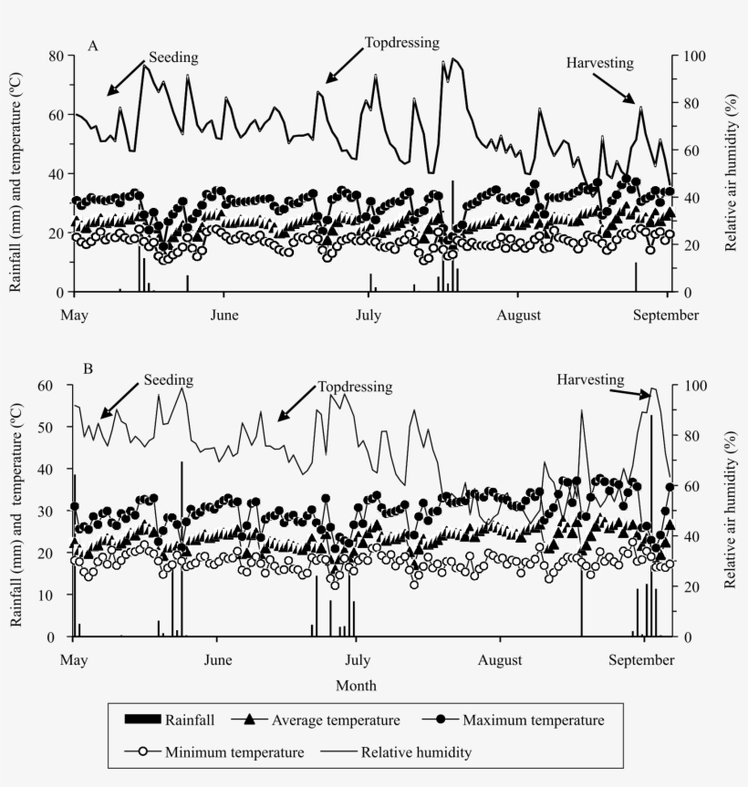 Rainfall, Relative Air Humidity, And Maximum, Average, transparent png download