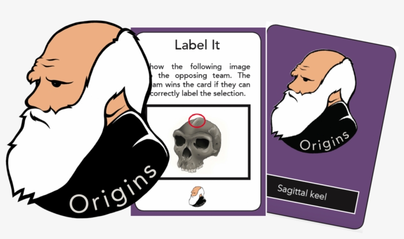 'origins' Card Game Teaches Basics Of Human Evolution, transparent png download