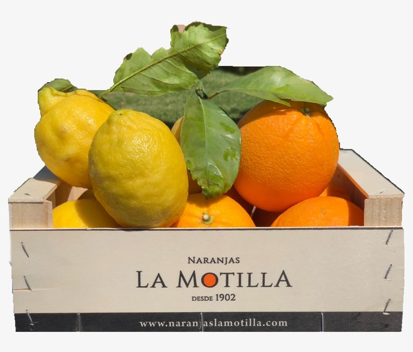 En La Tienda Online De Naranjas La Motilla Encontrarás, transparent png download