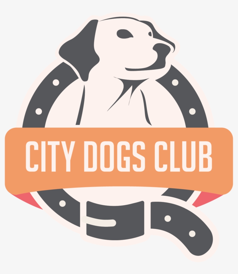 Dog Walker Png, transparent png download