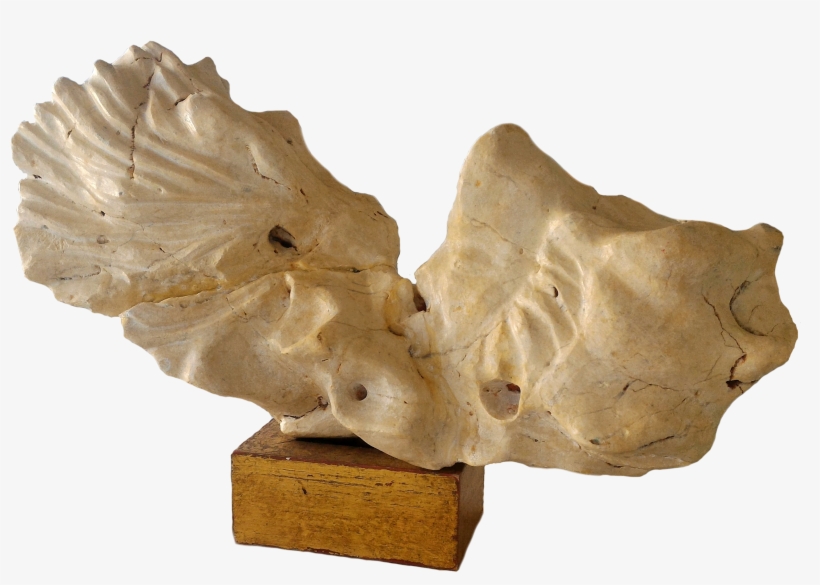 Welcome To Leylac, My Surreal Art Studio And Artist, transparent png download