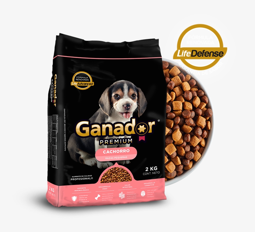 Ganador Png, transparent png download