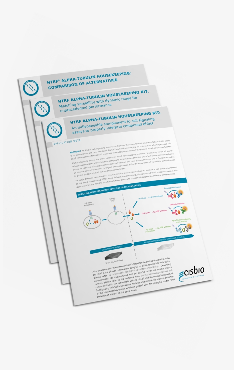 Discover The Benefits Of Using The Htrf Α-tubulin Housekeeping, transparent png download