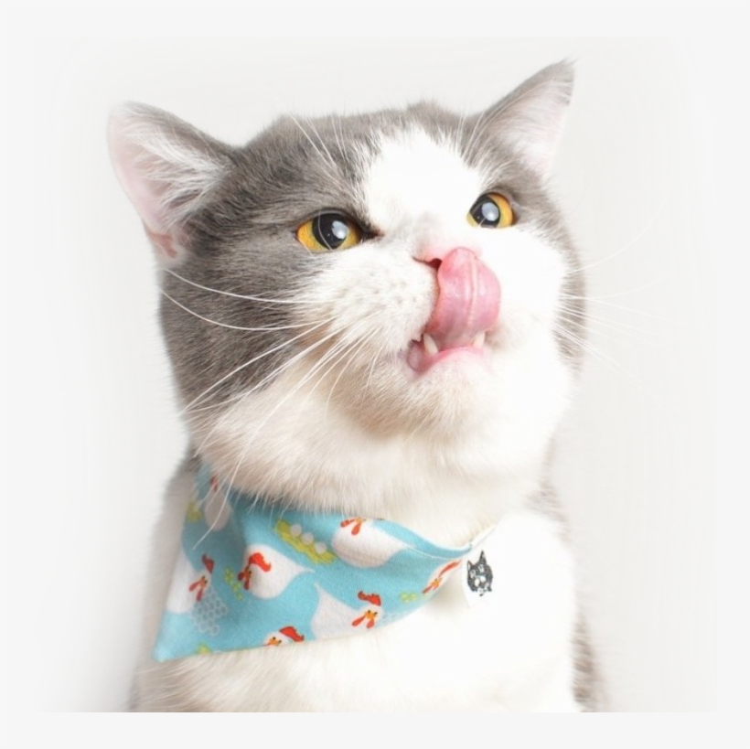 Subscribe Your Email To Receive Our Monthly Deals,, transparent png download