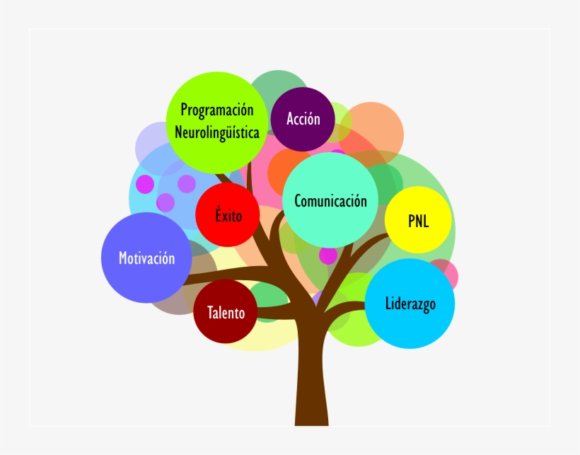 Mariana Explicó Que “el Origen De Las Crisis Financieras, transparent png download