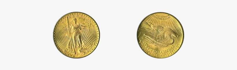 Evolution Of The Ngc Holder, transparent png download