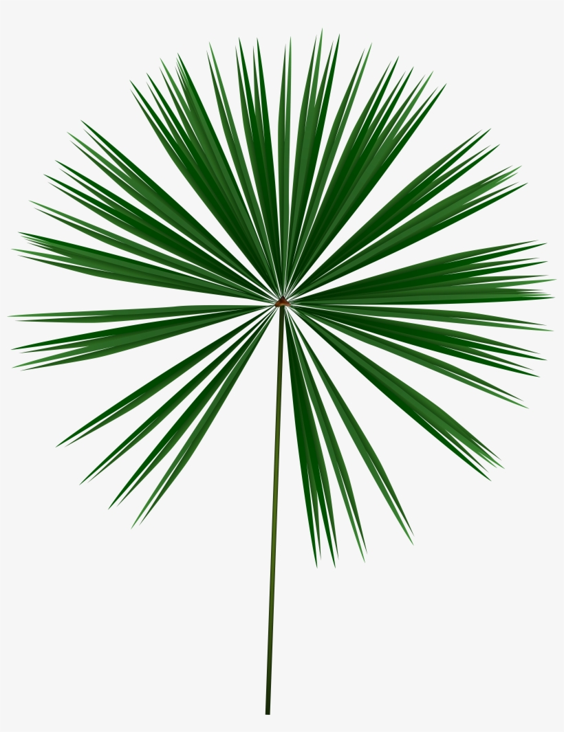 White Leaf Png, transparent png download