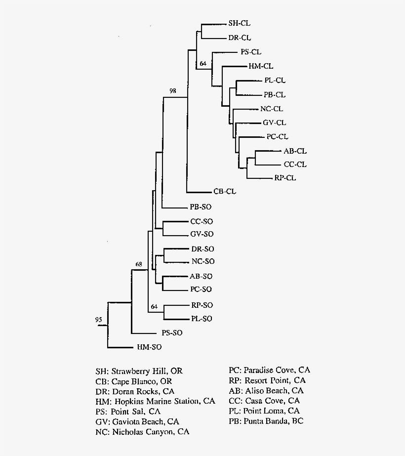 Strict Consensus, Majority Rule Neighbor-joining Tree,, transparent png download