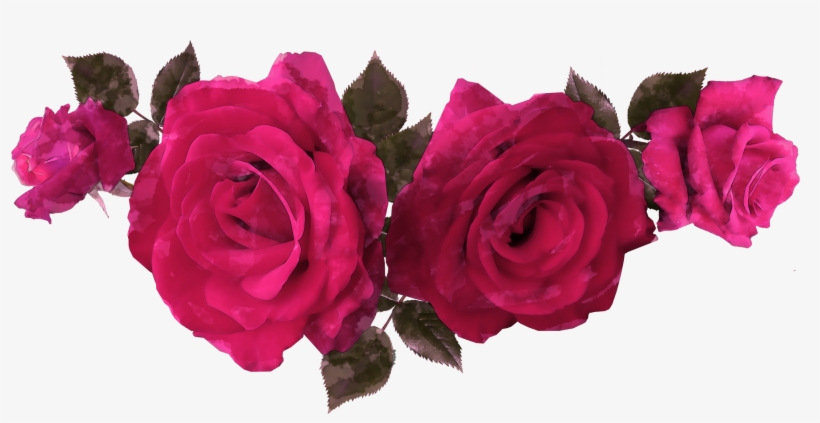 Free Watercolor Rose Flowers, transparent png download