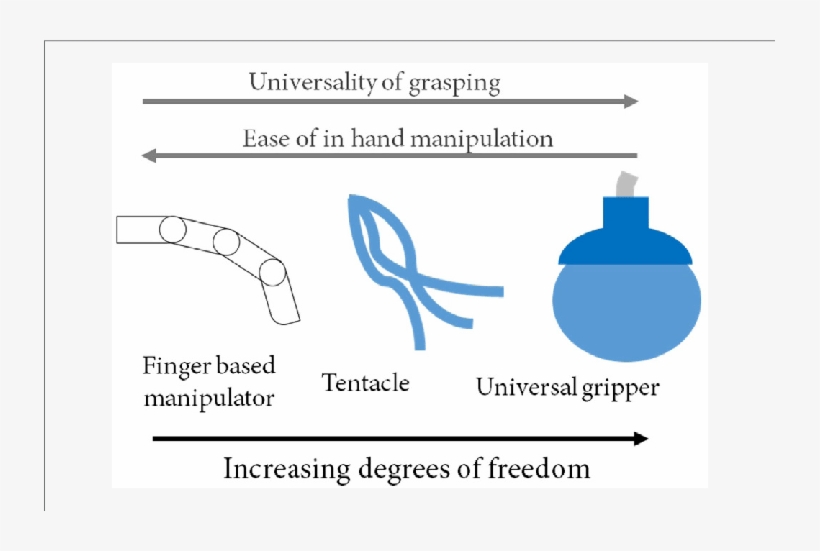 Although A Higher Degree Of Freedom Increases The Universe, transparent png download