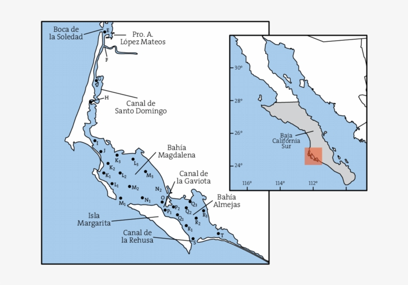 Localización De Las Estaciónes De Muestreo Dentro Del, transparent png download